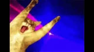 Kitty Cat. Culture Shokolate