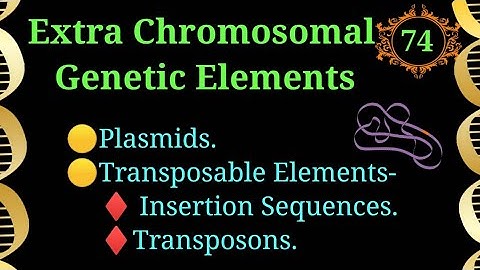Discover Extra-Chromosomal Genetic Elements: Plasmids, Episomes & Transposons @EnteMicrobialWorld
