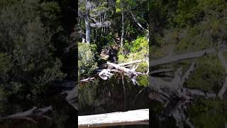 Cascada cercana al Faro San Isidro Febrero 2020