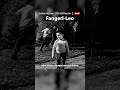 Fangerl-Leo