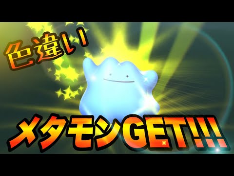 【ポケモンGO】色違いメタモンGETの瞬間!!!! ㅤㅤㅤㅤㅤㅤㅤㅤ ㅤㅤㅤㅤㅤㅤㅤㅤ ㅤㅤㅤㅤㅤㅤㅤㅤ  Pokémon GO Shiny #Shorts