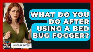 What Do You Do After Using A Bed Bug Fogger? - Insects and Invaders