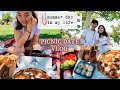 summer day in my life | picnic date vlog!