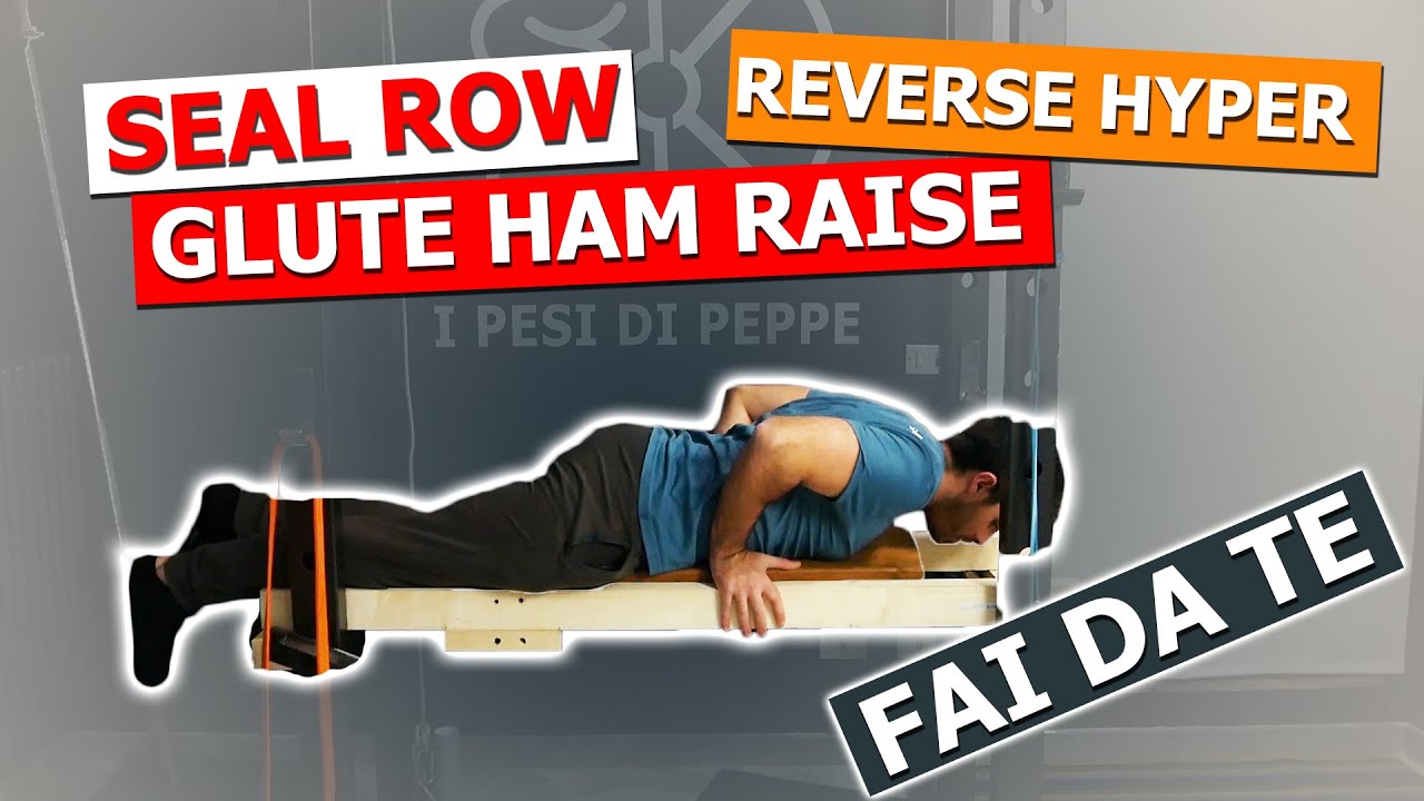 Home gym panca seal row, glute ham raise, reverse hyper, hyper extension FAI DA TE ECONOMICO