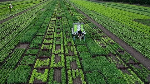 NPEC Open Field -  Dr. Basten Snoek (UU) on NPEC data usage in the LettuceKnow project