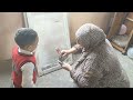 اجمل روتين على اليوتيوب وانا بدهن 
