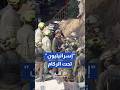 استمرار عمليات البحث عن مفقودين تحت أنقاض مبنى سكني دمره صاروخ إيراني في حيفا Shorts Short 