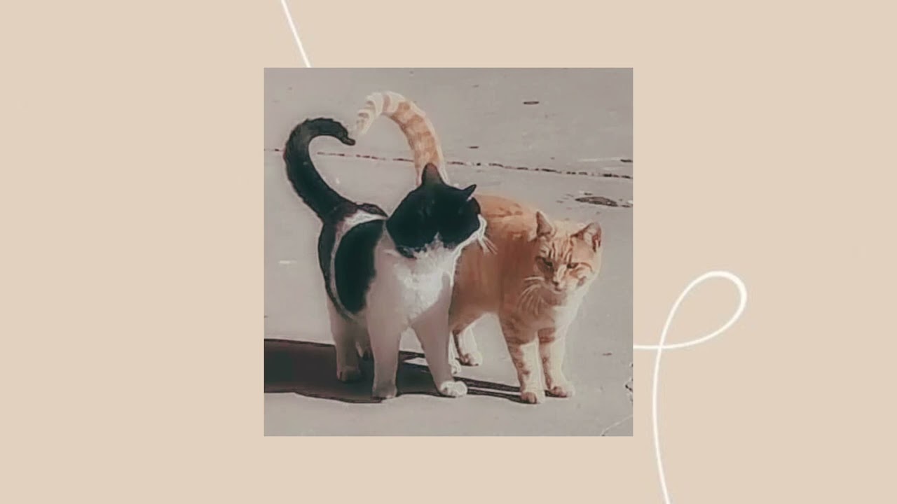 old love (sped up)