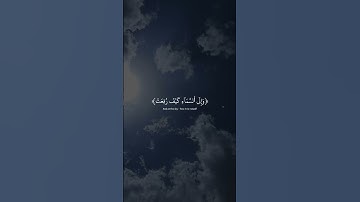 أفلا ينظرون إلى الأبل كيف خلقت | القارئ عبد الرحمن مسعد | قرآن كريم ..♡