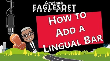 Eaglesoft Training: How Andre Creates a Lingual Bar in Eaglesoft