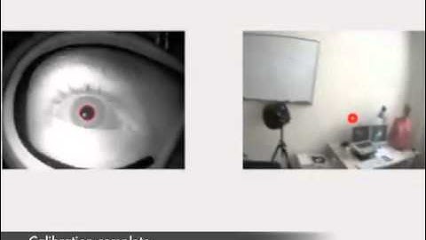 Eye tracking demo 1