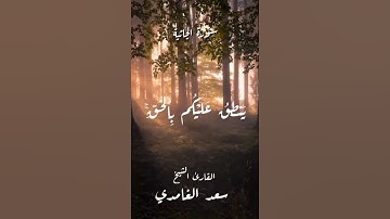 سورة الجاثية ـ الأية (29)ـ بصوت القارئ الشيخ #سعد_الغامدي