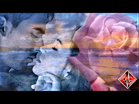 SEVENROSE - Туда, где ты