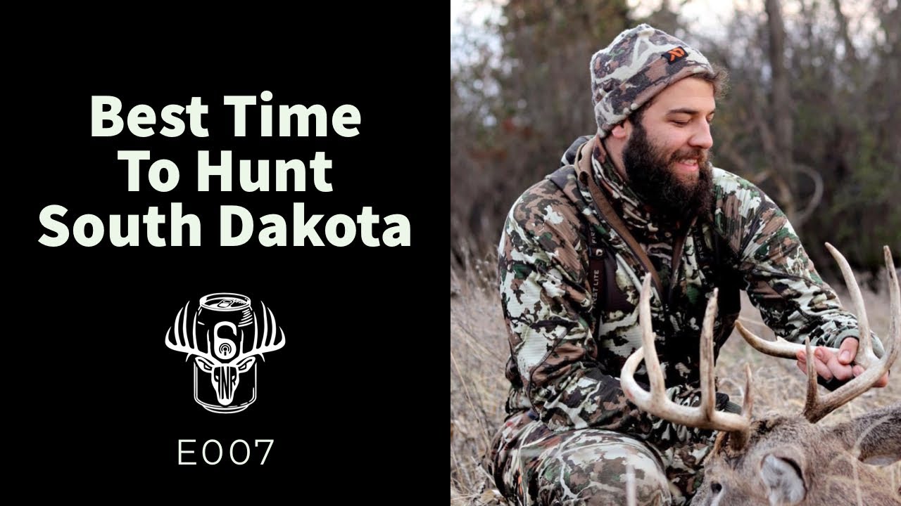 What Is The Best Time To Deer Hunt Today What Is The Best Time To Deer Hunt Today