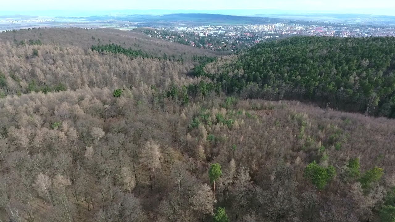 M5 csatorna - Soproni mintagazdaság – 2020/1. adás – 2020.02.01.