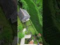 #bali #drone #travel #dji