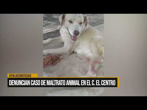 Denuncian caso de maltrato animal en el corregimiento El Centro