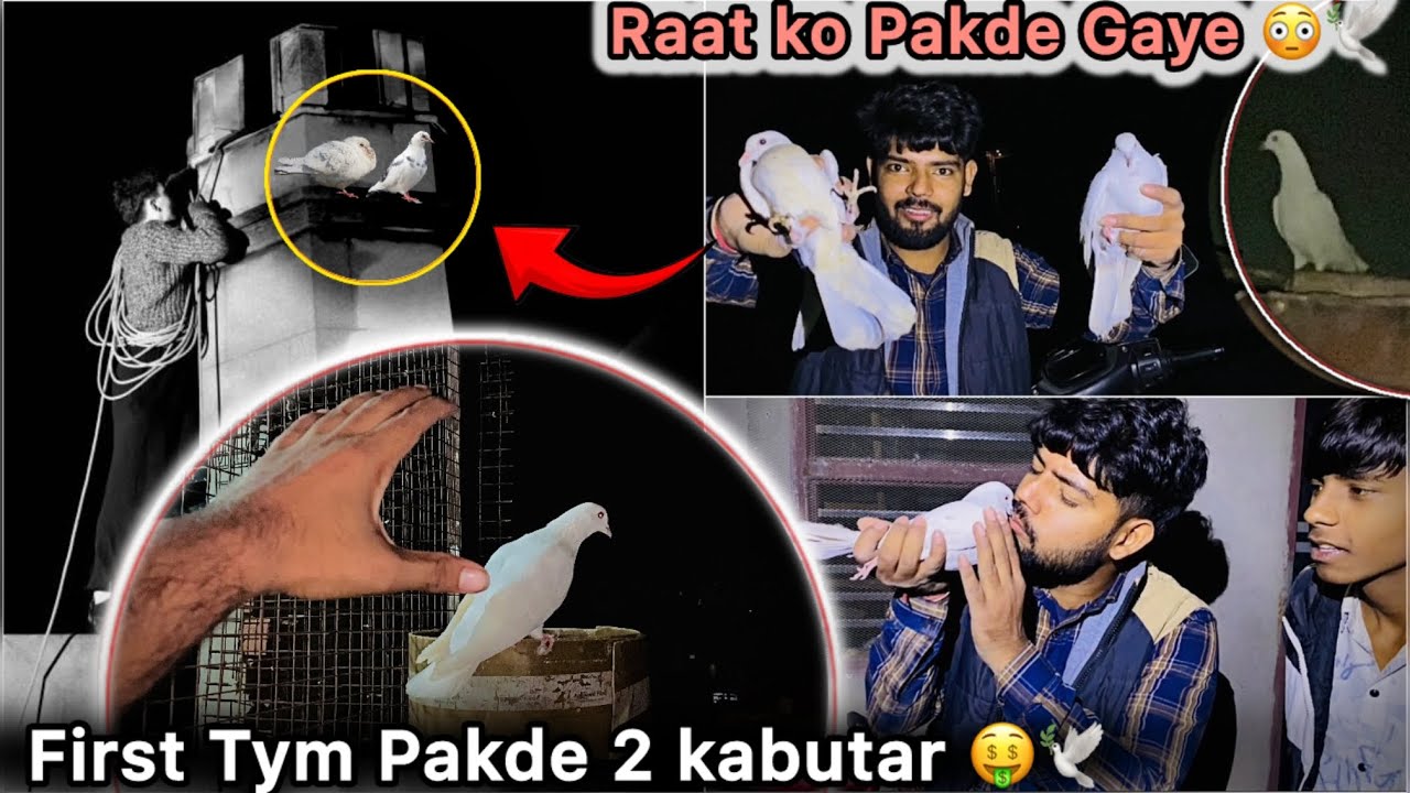 Finally Jungli kabutaro se Pakd kr laye 2 ( Two ) Kabutar 🤑 || Pigeon Catching at Night 🕊️