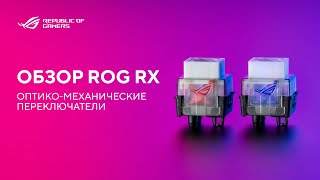 Особенности ROG RX переключателей