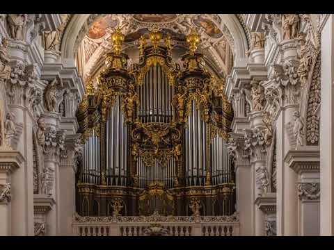 Reupload Organ 125 Royalist Tendencies Rhythmic Joyful Organ Music