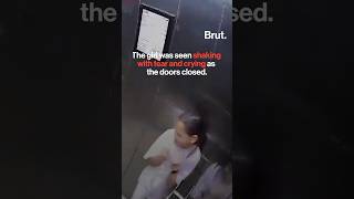 A video of a girl and a dog in a lift in Noida sparked an online debate.