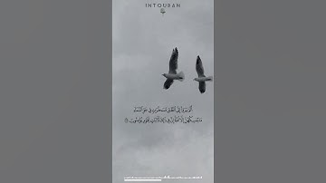 ألم يروا إلى الطير مسخرات في جو السماء ما يمسكهن إلا الله إن في ذلك لآيات لقوم يؤمنون [النحل: ٧٩]