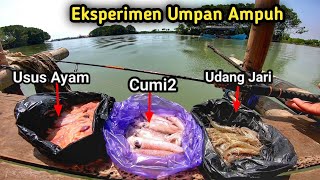 Panen Strike..!! Bawa 3 Umpan Ampuh Ini Kalo Mancing Di Muara/Sungai..!