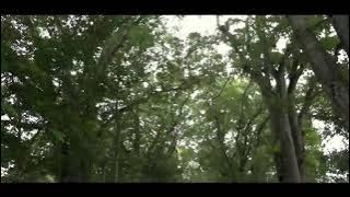 Lagu Rohani Katolik, Vos Amici Mei Estis ( Kamulah Sahabat_SahabatKu)