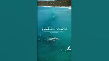 قرآن كريم بصوت جميل جدا راحه نفسيه #اكسبلور #المصحف #لايك #حالات_واتس