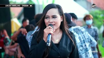 JUJUR - IKA BONITA || CITRA NADA LIVE DS.TAMBELANG - KARANG SEMBUNG - CIREBON