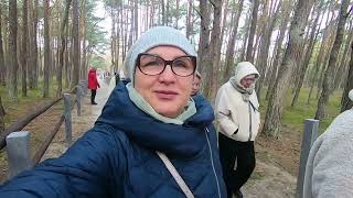 Танцующий лес.Куршская Коса.Омичи в Калининграде.(февраль 2023)