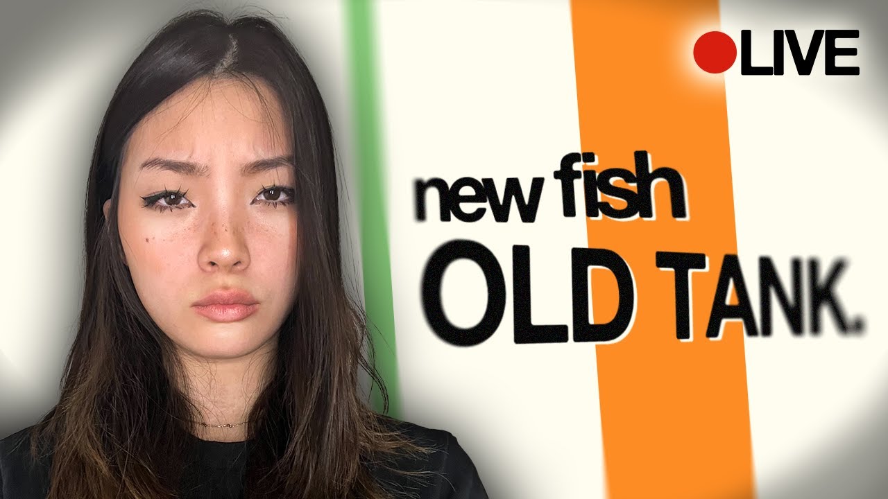 Fishtank Live Nude