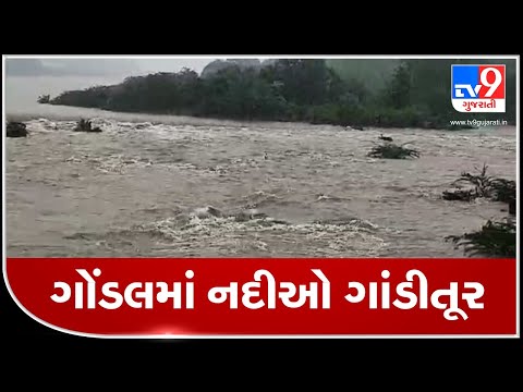 Rajkot: Heavy inflow of water around Akshar Mandir in Gondal | TV9News