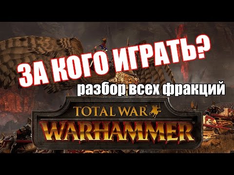 Видео: Какую фракцию выбрать в Total War: Warhammer?