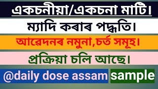 একচনীয়া মাটি ম্যাদী কৰাৰ পদ্ধতি | eksona mati meyadi poddoti | land assam |process@dda786