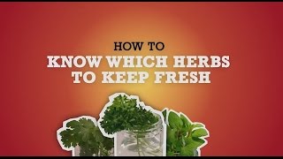 Chef Saad Tip 3: Dried vs. Fresh Herbs Presented by BUSH’S® Beans