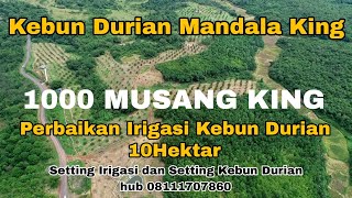 Irrigation repairs for 10 hectares of durian plantation