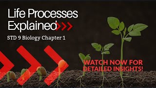 First Bell 3.0 STD 09 Biology To Life Processes Chapter 01 Part 01