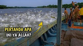 Nelayan Pantai Pangandaran Gempar! Ribuan Ikan Kakap Merah Mendadak Keluar Menyerbu Jaring Mereka