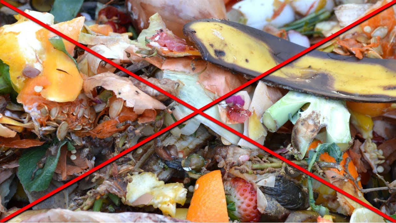 Lebensmittelreste weiter verarbeiten ohne Abfall - Resteverwertung von Lebensmitteln