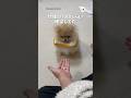 ショックが隠しきれないワンコ|PECO #ポメラニアン #犬 #ポメラニアン大好き #犬のいる暮らし #pomeranian #dog #doglife #pomeranianlover