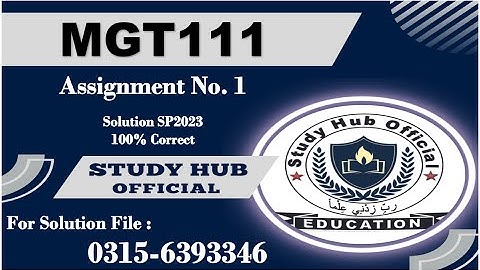 MGT111 Assignment 1 solution sp2023 mgt111