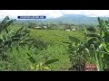 Thousands orphaned vulnerable children Tanzania