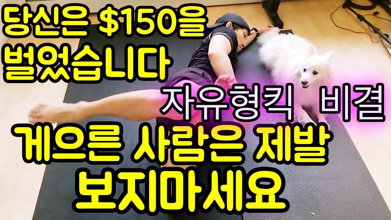 자유형킥 강화 스트레칭 방법 [ 뉴욕 수영코치 New York Swim Coach ]