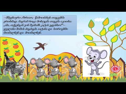 \"თაგვები და კატა\" (ნარგიზა)