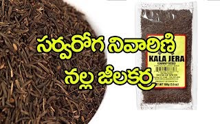 చేదు జీలకర్ర సర్వ రోగ నివారిణి విశిష్టత తెలుసుకోండి | kaala zeera uses | prakruthivanam life tv