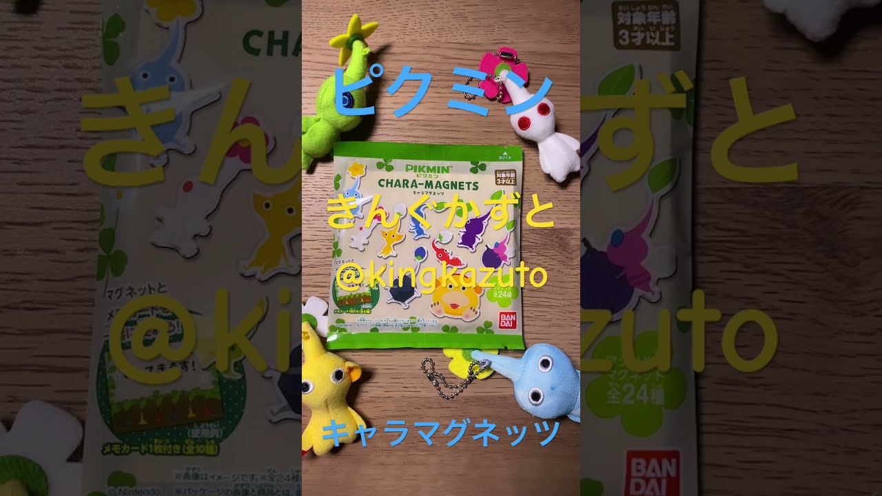 ピクミンキャラマグネッツ 何ピクミンが当たるかな？ ピクミン