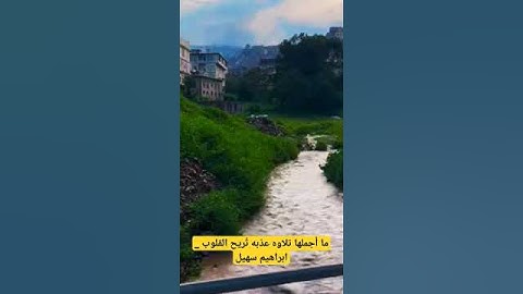 ما أجملها تلاوه عذبه تُريح القلوب _ ابراهيم سهيل #تيك_توك #لايك #ترند #اكسبلور #حالات_واتس #امطار