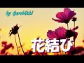 「花結び」/大川ゆり Japanese Taishogoto 大正琴  /Gerobikki