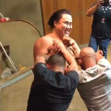 2 UFC fighters vs 1 japanese sumo wrestler